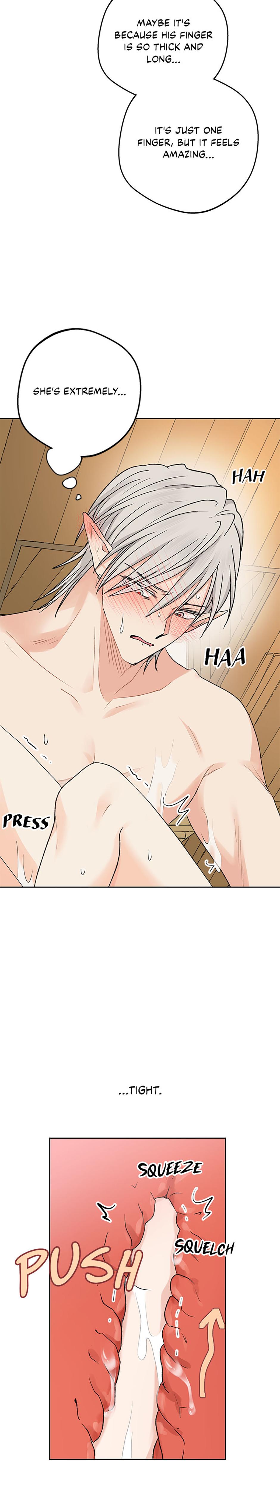 The Mating Of Elves chapter 12 page 26