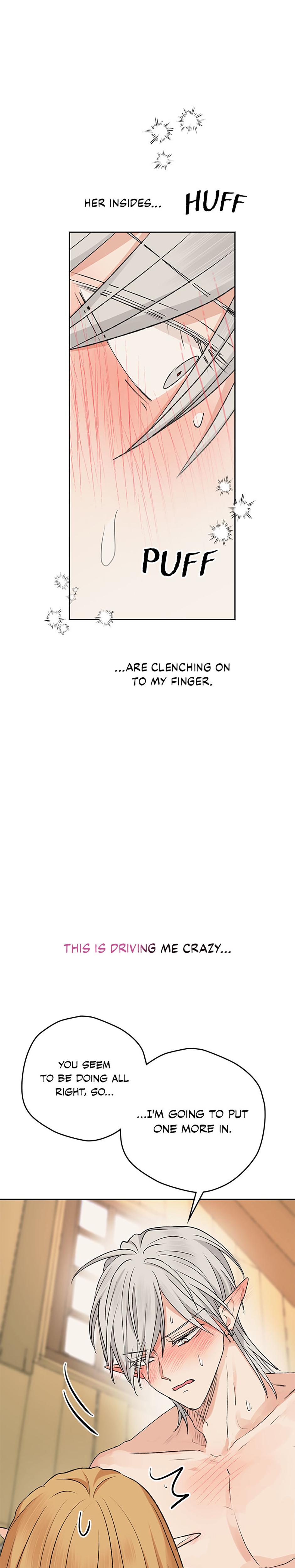 The Mating Of Elves chapter 12 page 27