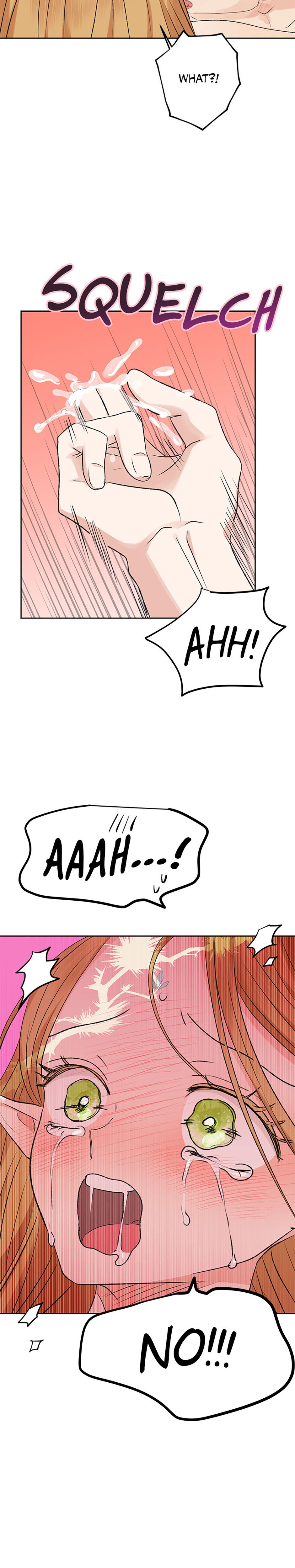 The Mating Of Elves chapter 12 page 28