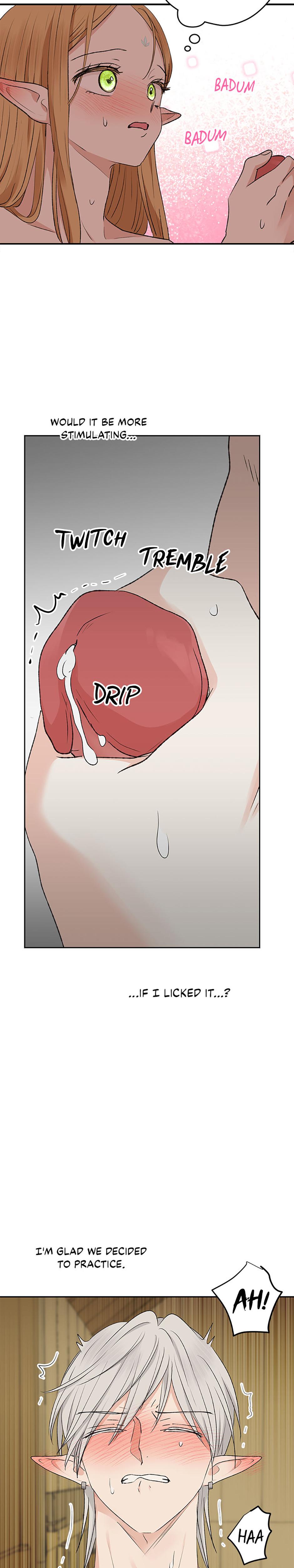 The Mating Of Elves chapter 13 page 19