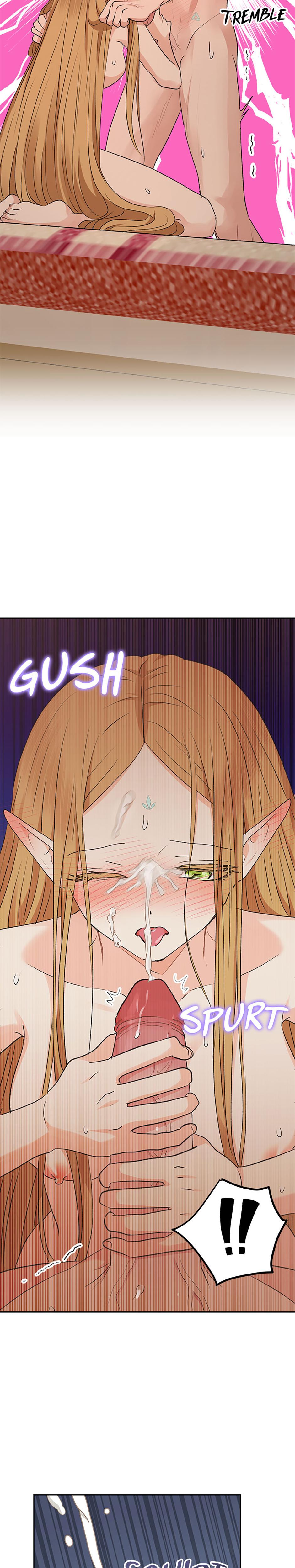 The Mating Of Elves chapter 13 page 27
