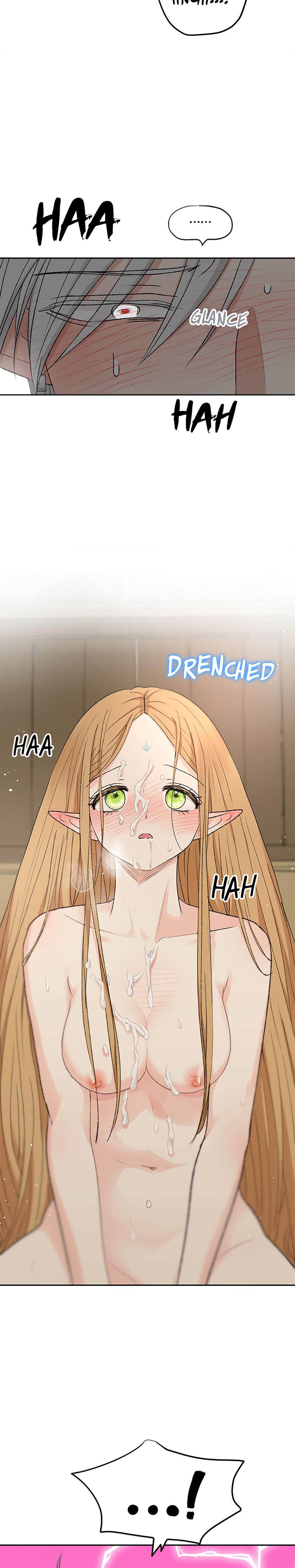 The Mating Of Elves chapter 13 page 29
