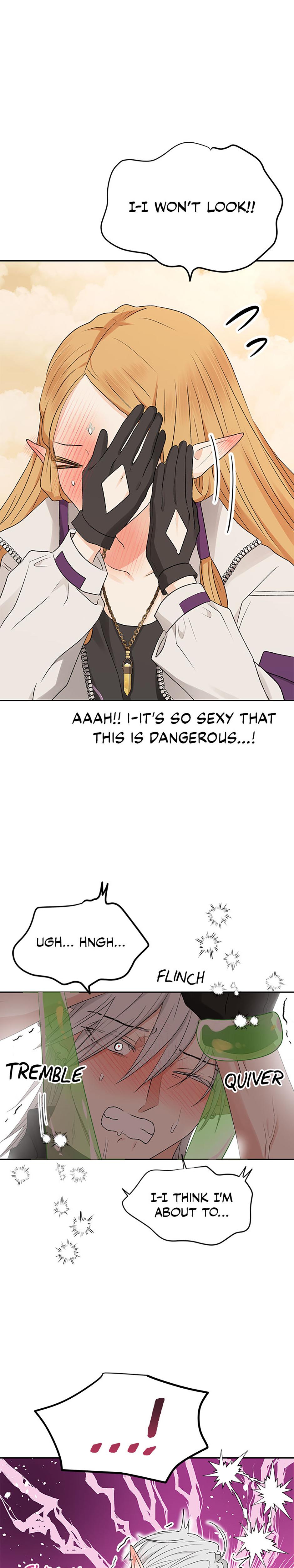 The Mating Of Elves chapter 16 page 31