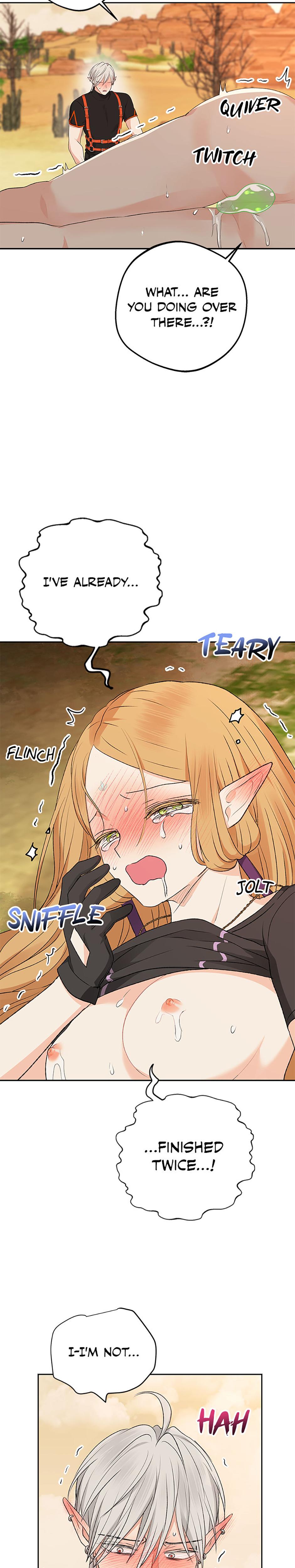 The Mating Of Elves chapter 17 page 12