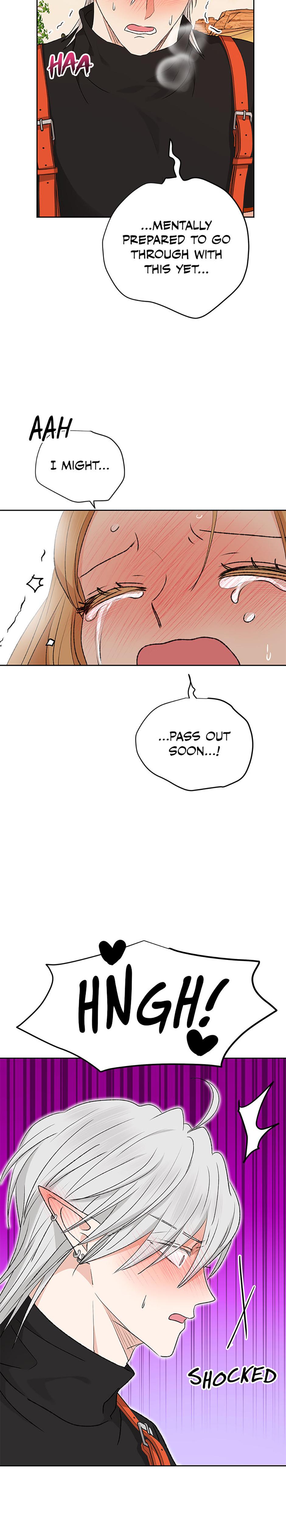 The Mating Of Elves chapter 17 page 13