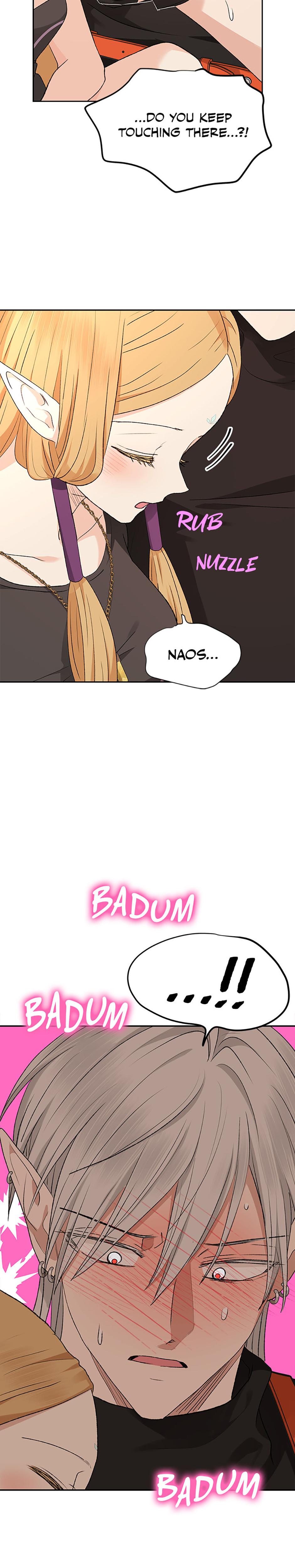 The Mating Of Elves chapter 18 page 17