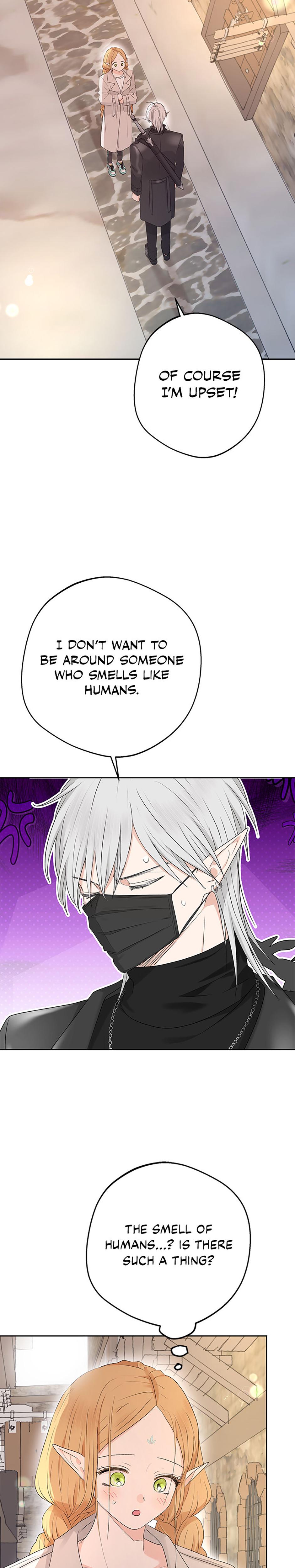 The Mating Of Elves chapter 21 page 3