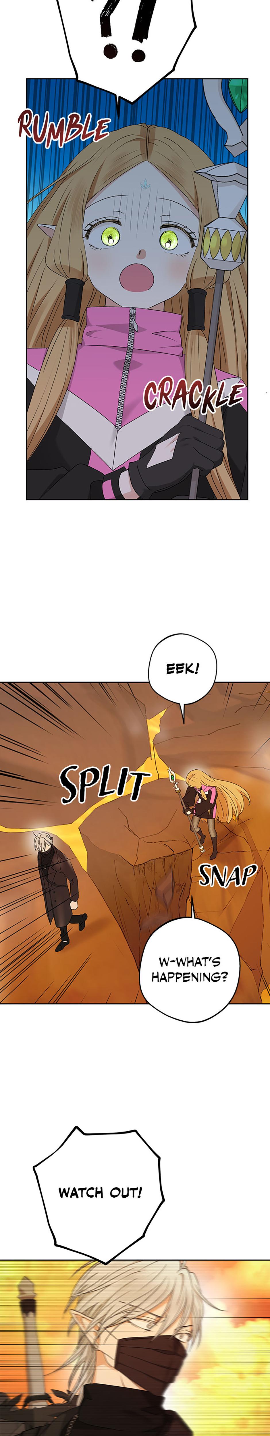 The Mating Of Elves chapter 21 page 18
