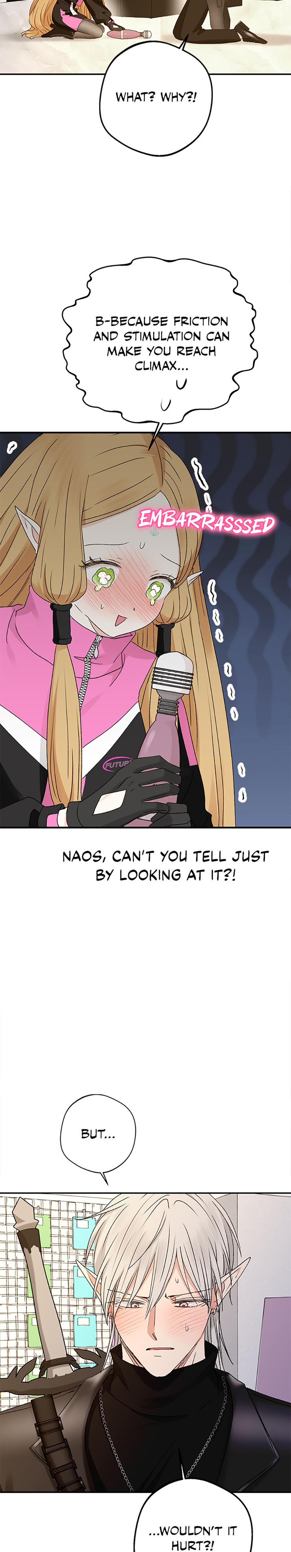 The Mating Of Elves chapter 22 page 11