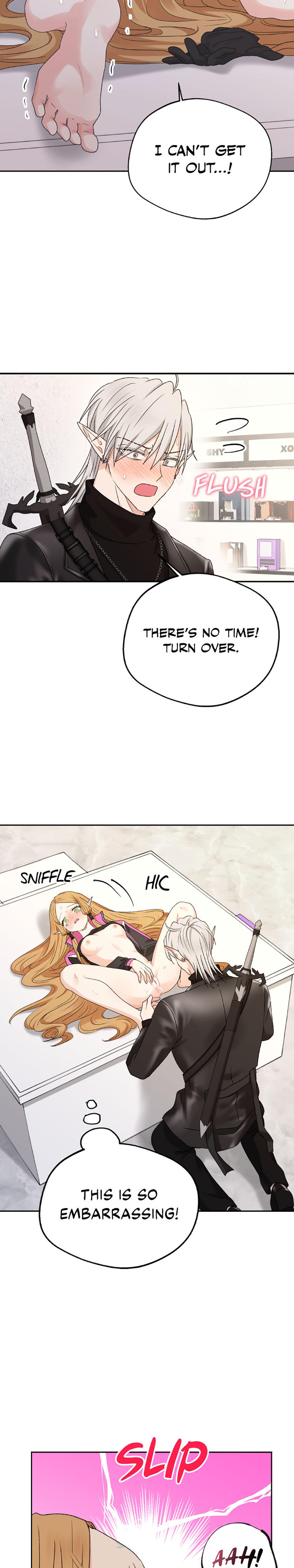 The Mating Of Elves chapter 25 page 21
