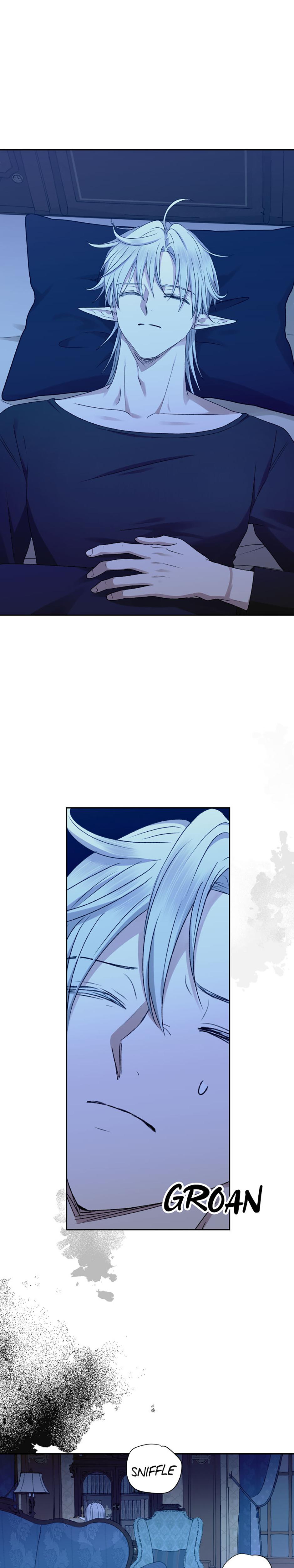 The Mating Of Elves chapter 26 page 11