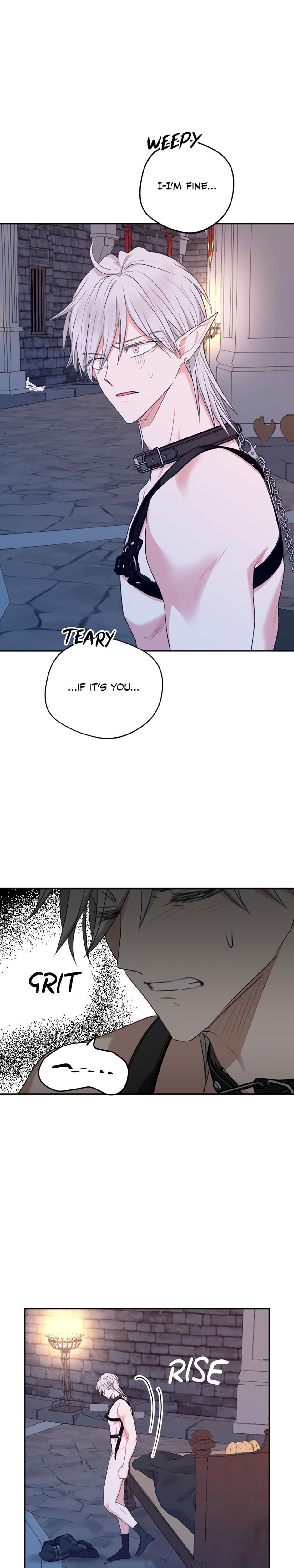 The Mating Of Elves chapter 32 page 7