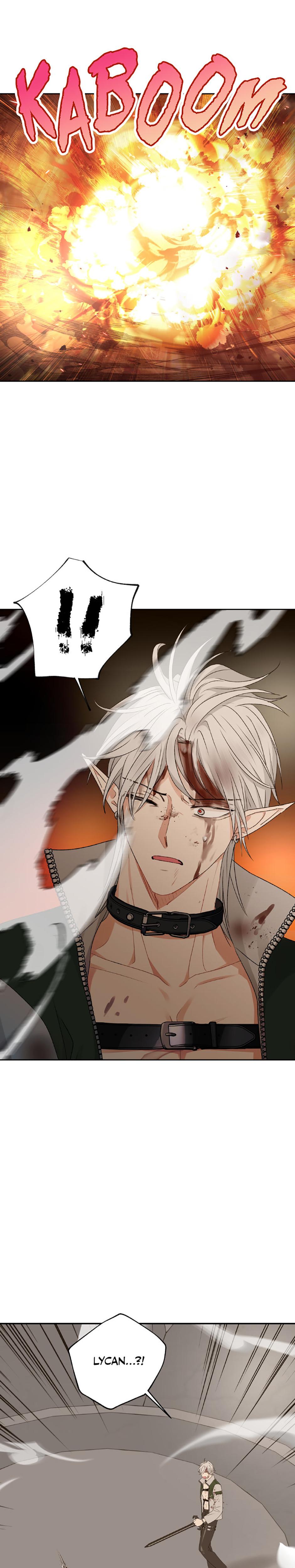 The Mating Of Elves chapter 32 page 22
