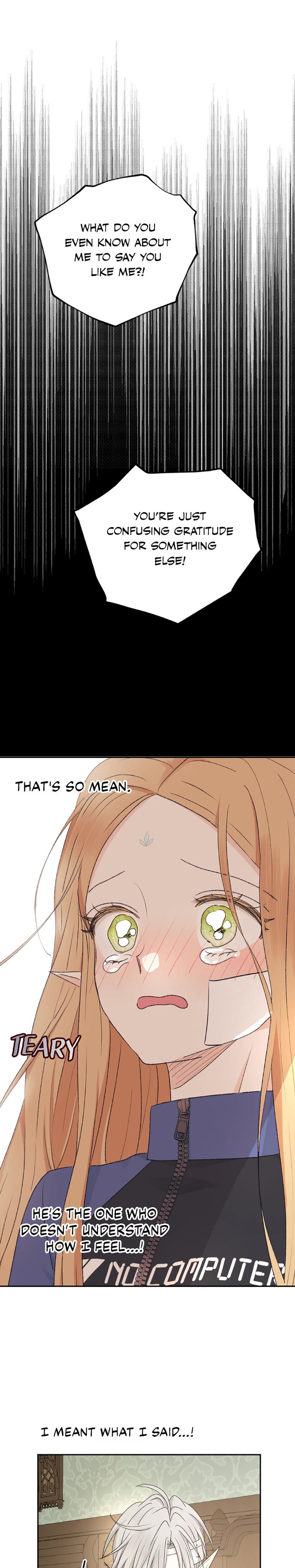 The Mating Of Elves chapter 33 page 17