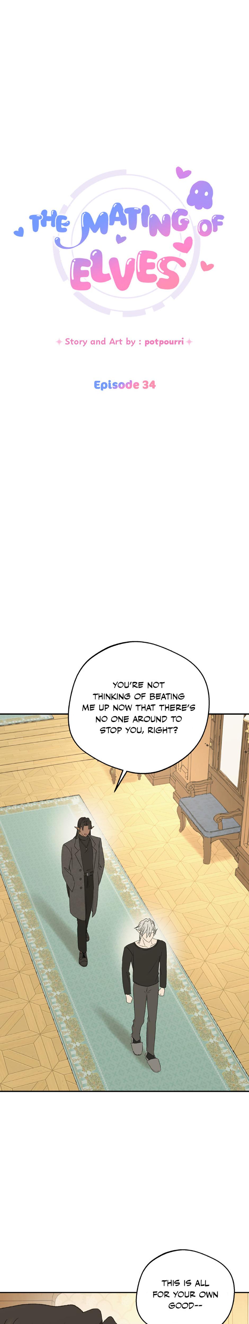 The Mating Of Elves chapter 34 page 3