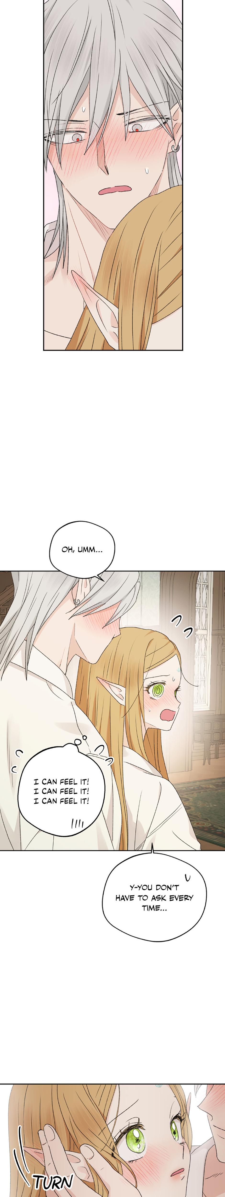 The Mating Of Elves chapter 35 page 17