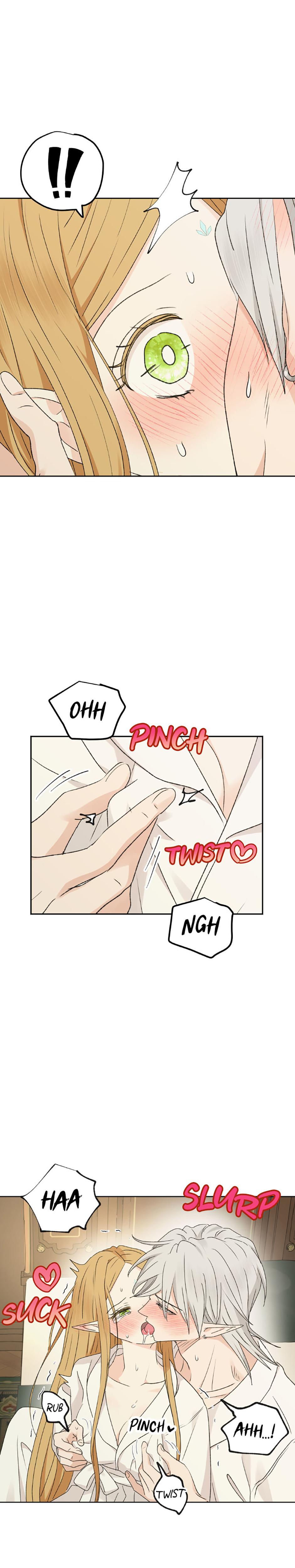 The Mating Of Elves chapter 35 page 19