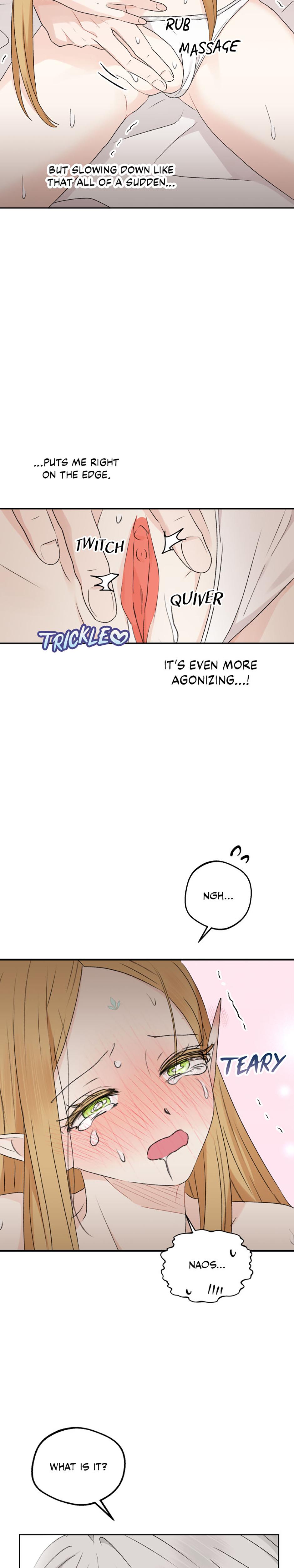 The Mating Of Elves chapter 35 page 30