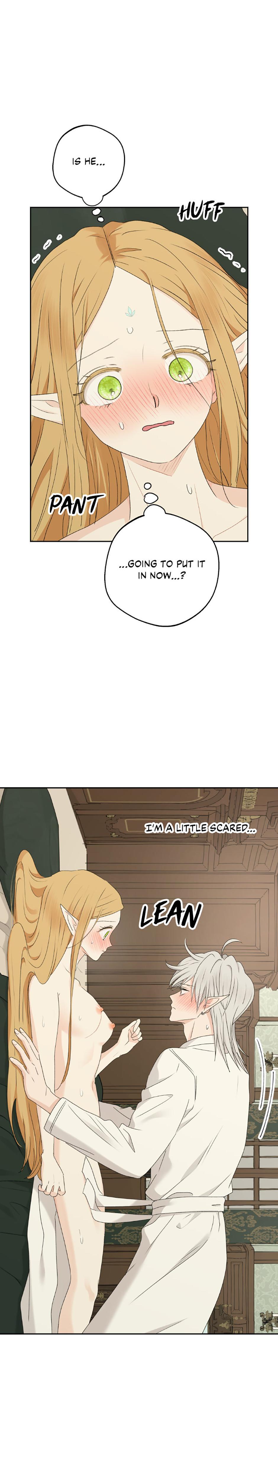 The Mating Of Elves chapter 36 page 5
