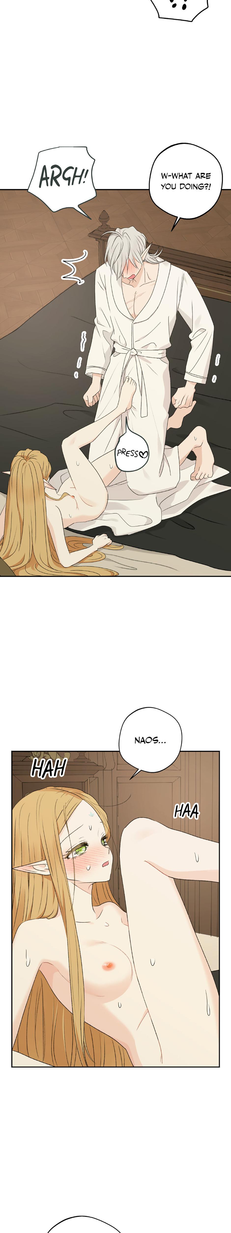 The Mating Of Elves chapter 36 page 19