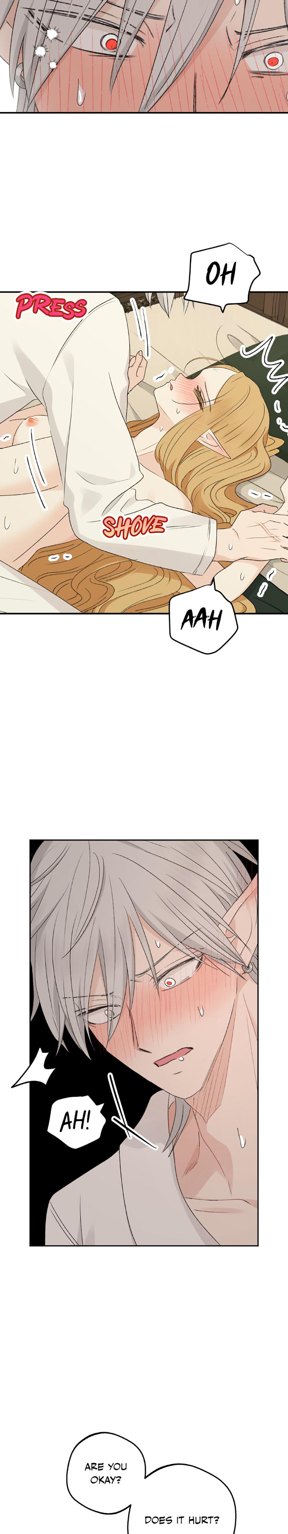The Mating Of Elves chapter 36 page 26