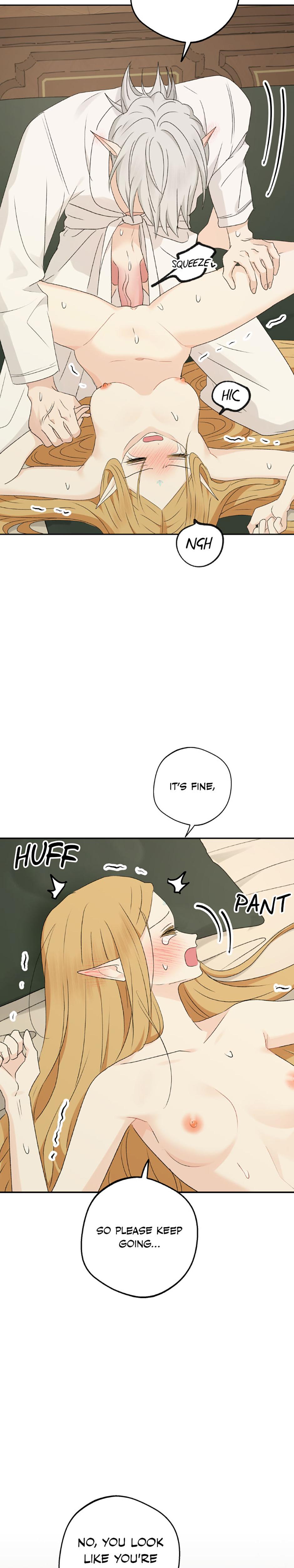 The Mating Of Elves chapter 36 page 27
