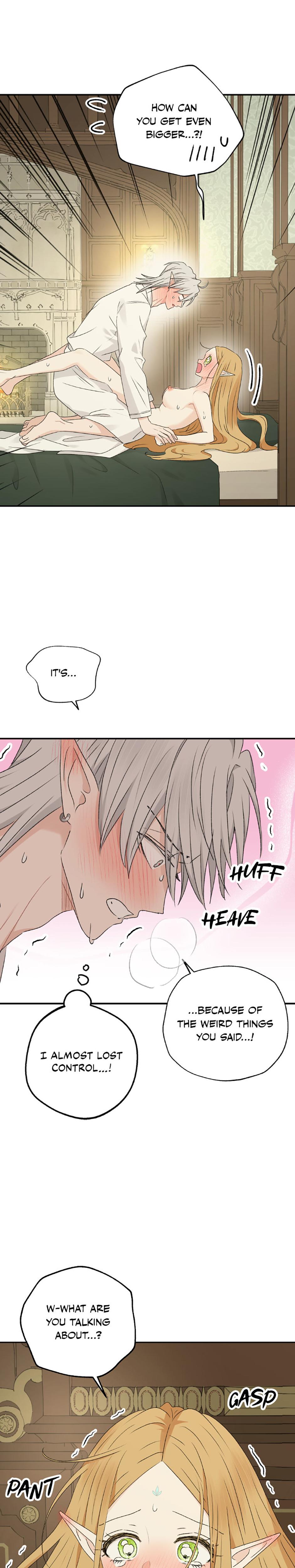 The Mating Of Elves chapter 37 page 3