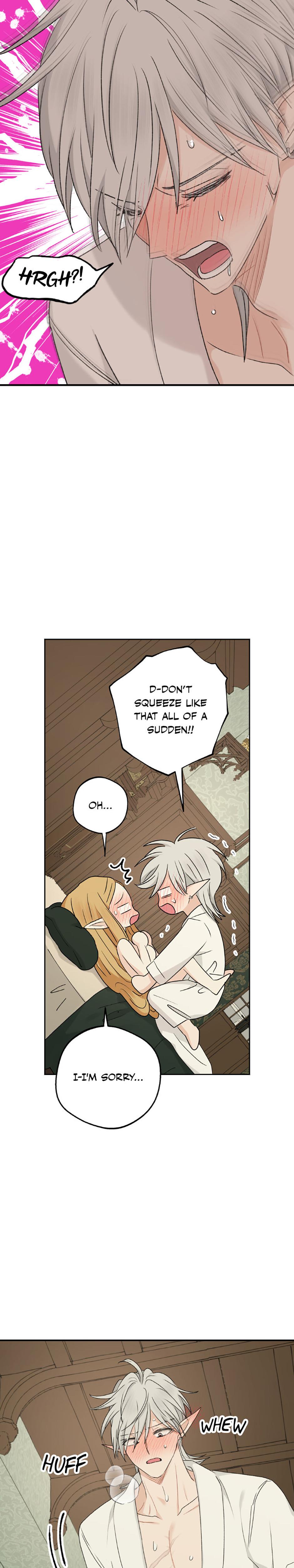 The Mating Of Elves chapter 37 page 11