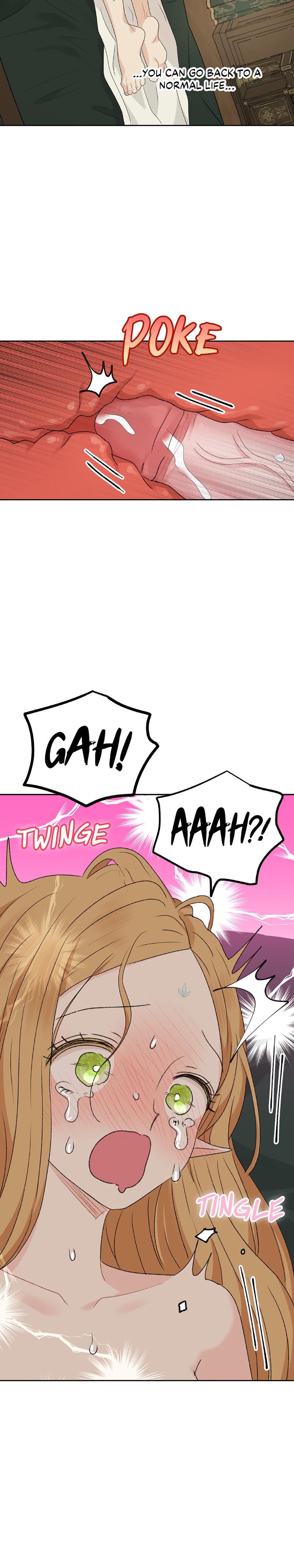 The Mating Of Elves chapter 37 page 17