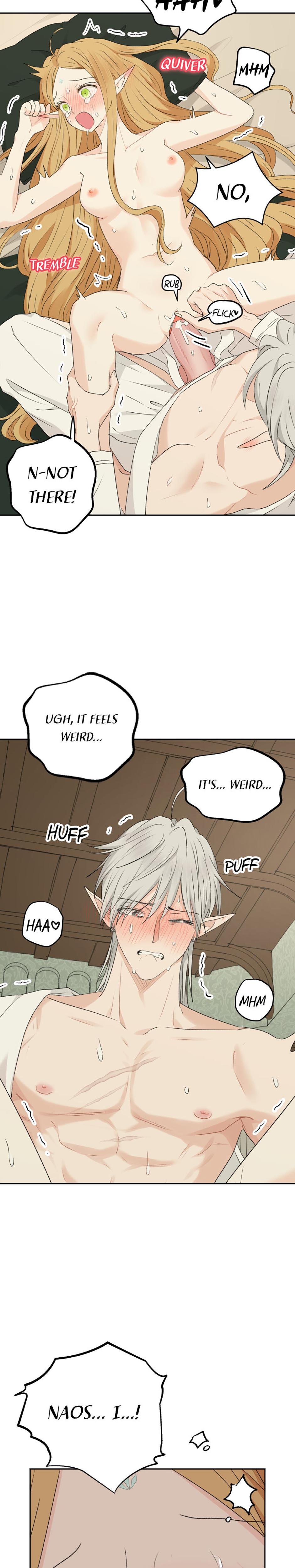 The Mating Of Elves chapter 37 page 21