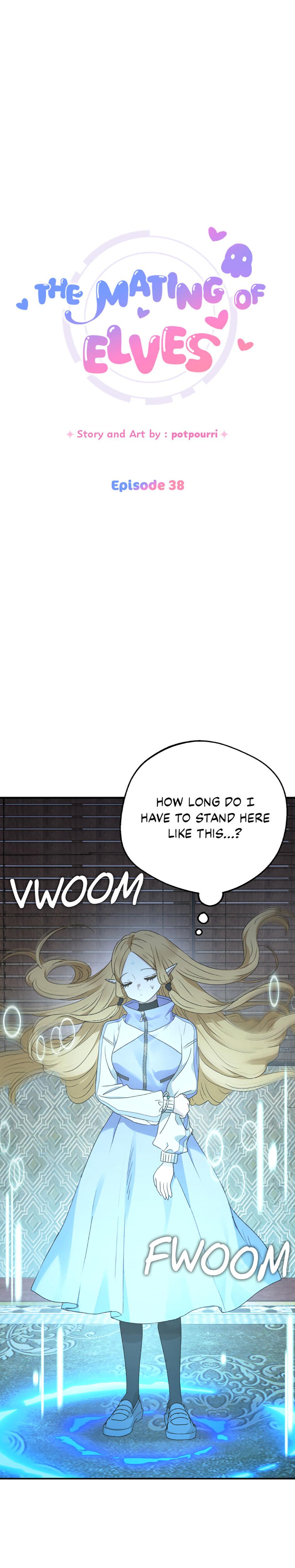 The Mating Of Elves chapter 38 page 17