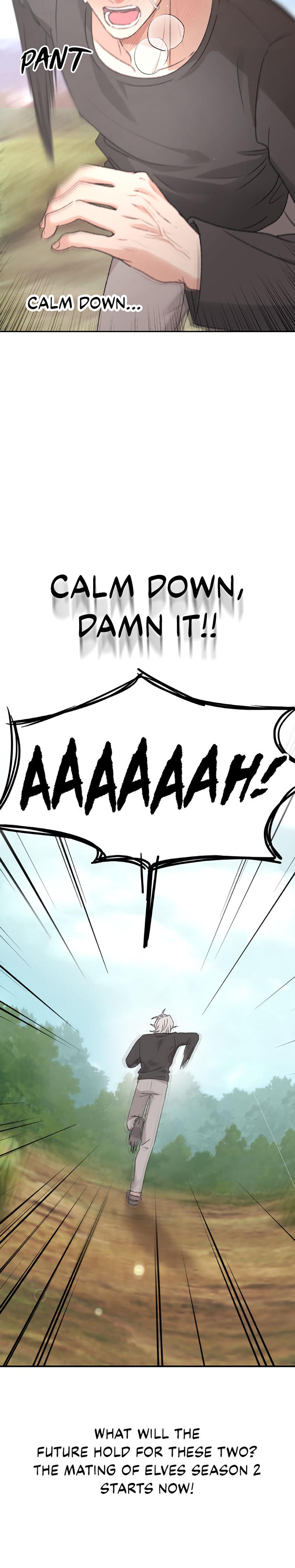 The Mating Of Elves chapter 38 page 39