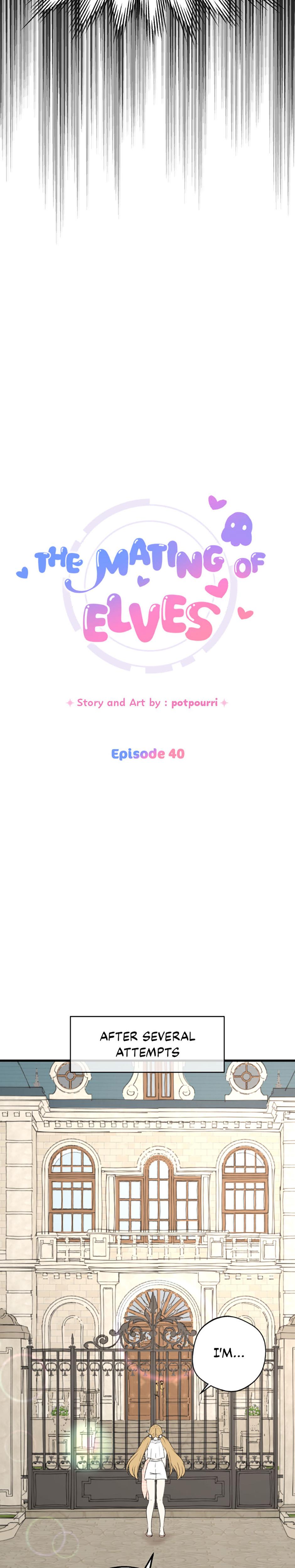 The Mating Of Elves chapter 40 page 4