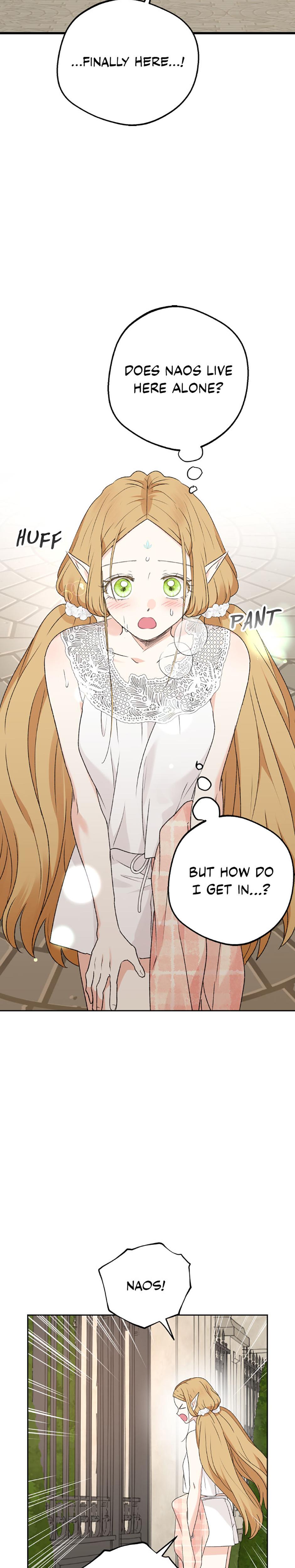 The Mating Of Elves chapter 40 page 5