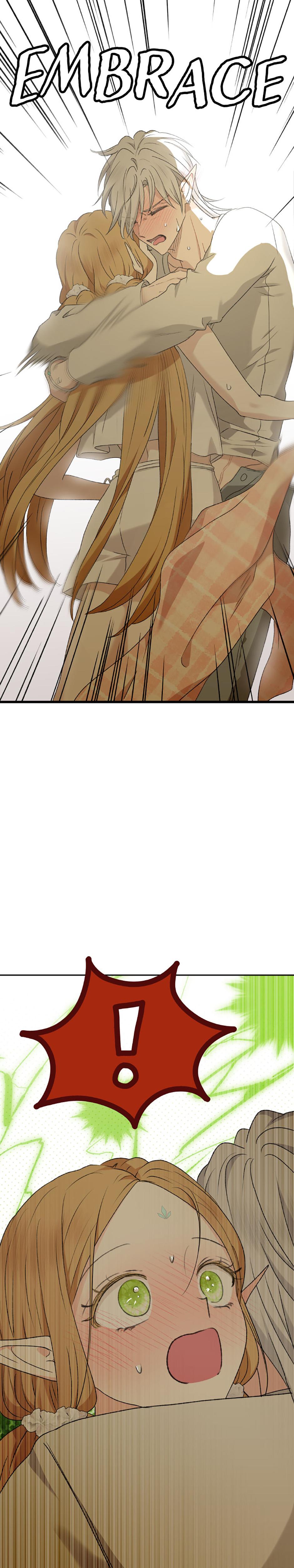 The Mating Of Elves chapter 40 page 12