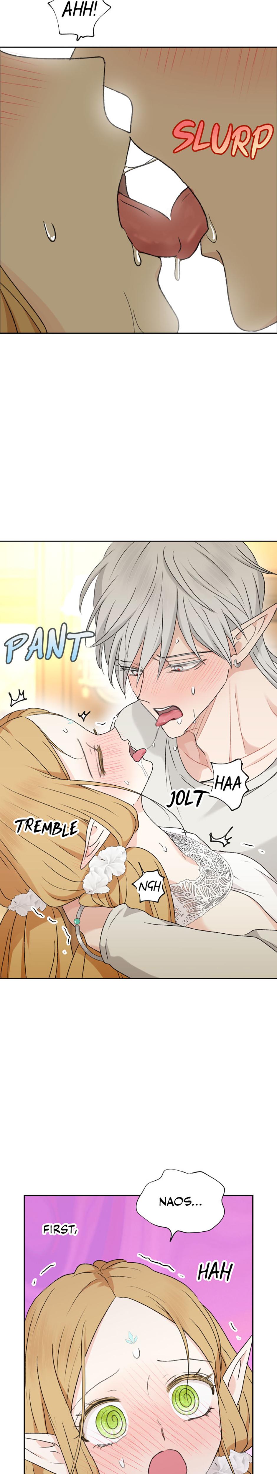The Mating Of Elves chapter 40 page 17