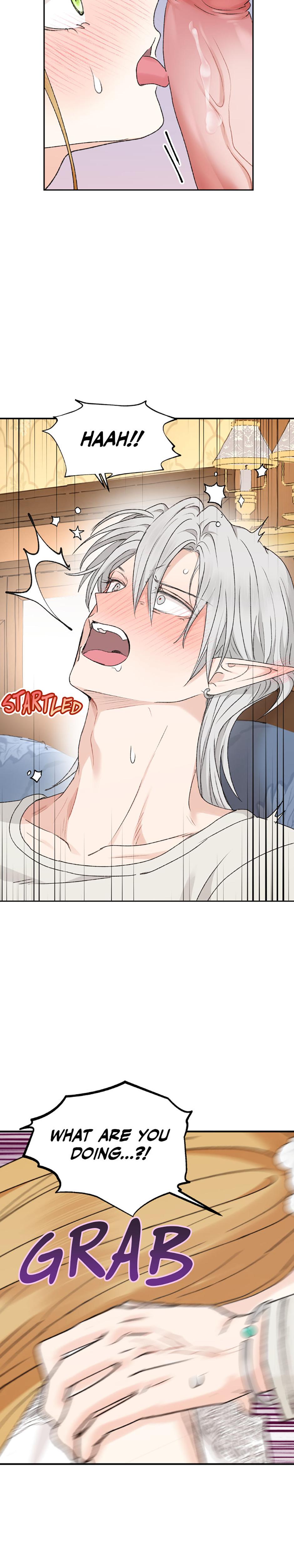 The Mating Of Elves chapter 41 page 20