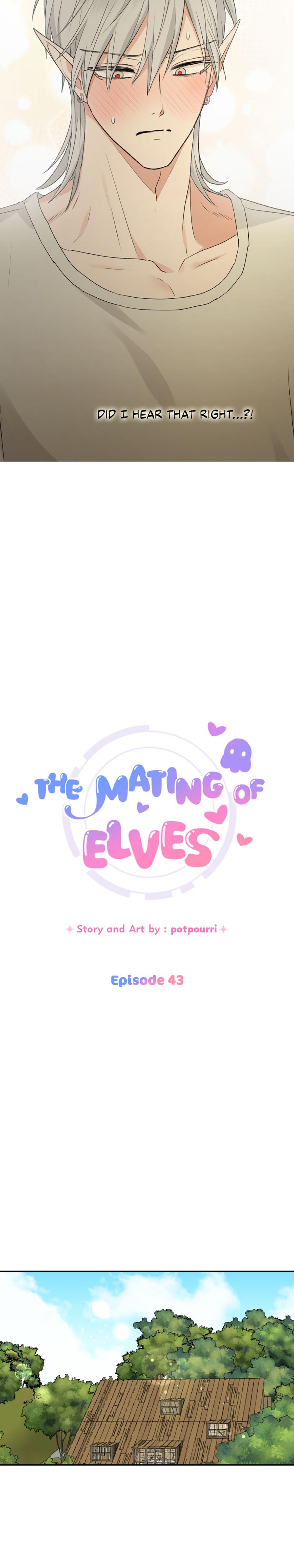 The Mating Of Elves chapter 43 page 20