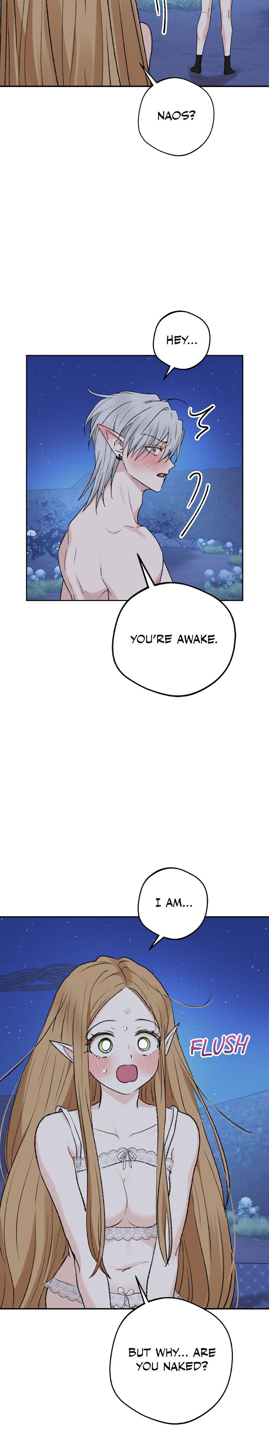 The Mating Of Elves chapter 47 page 12