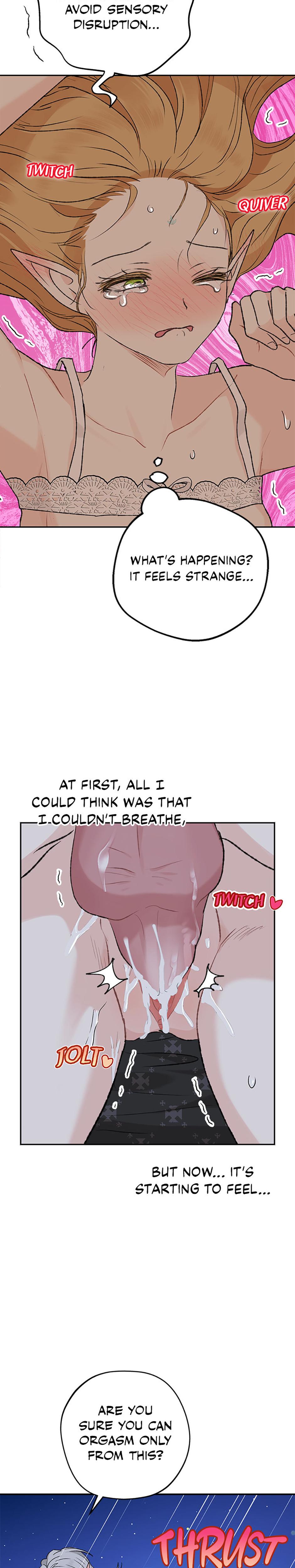 The Mating Of Elves chapter 48 page 25