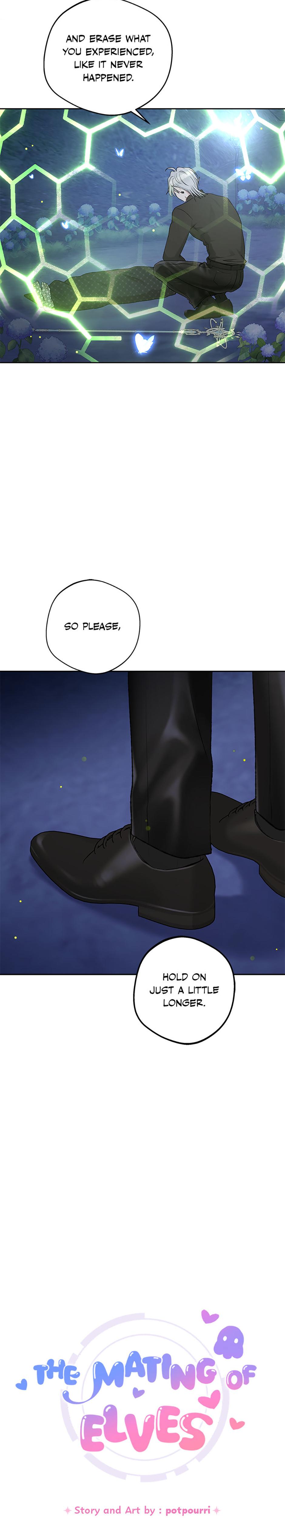 The Mating Of Elves chapter 49 page 19