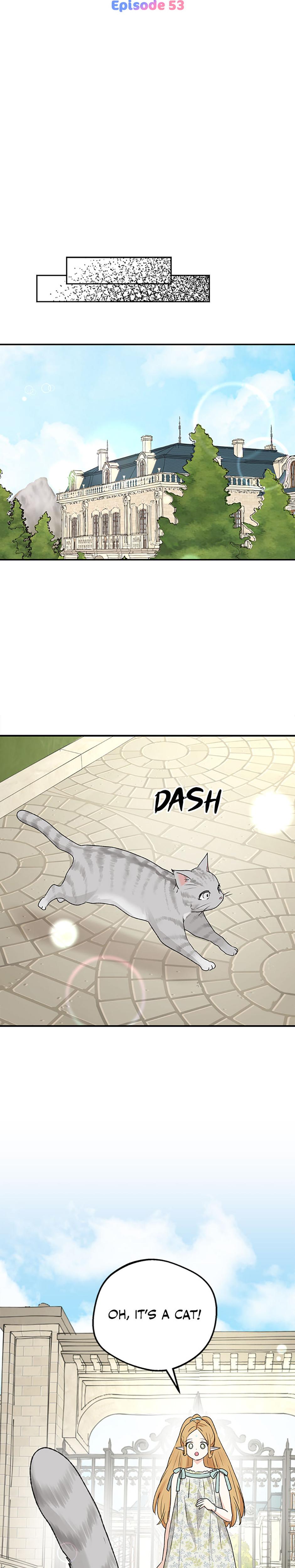 The Mating Of Elves chapter 53 page 11