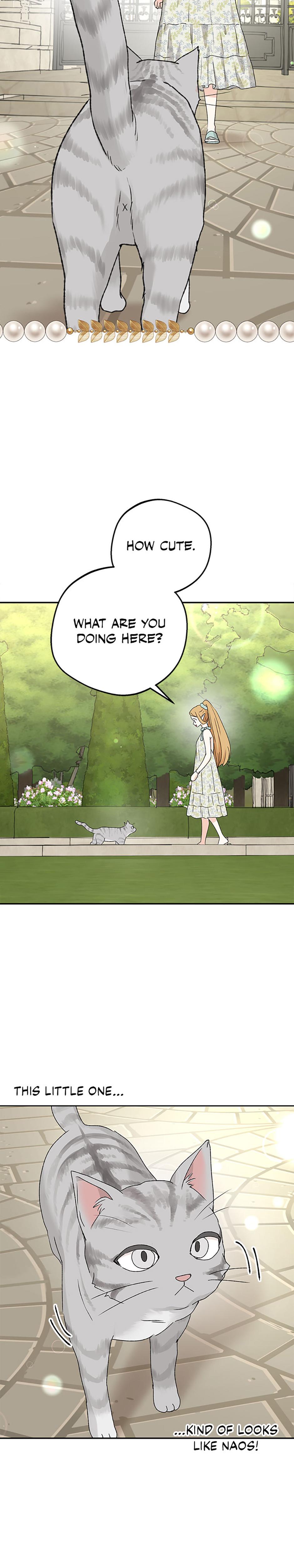 The Mating Of Elves chapter 53 page 12
