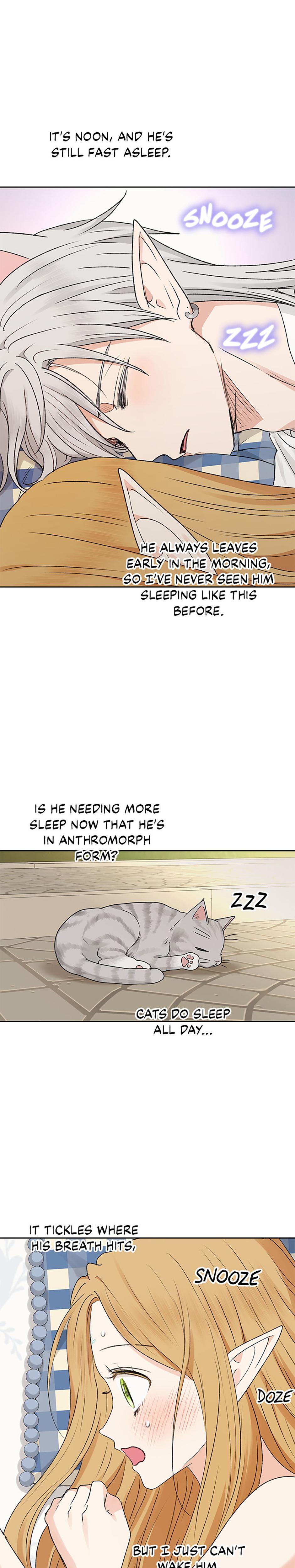 The Mating Of Elves chapter 53 page 18