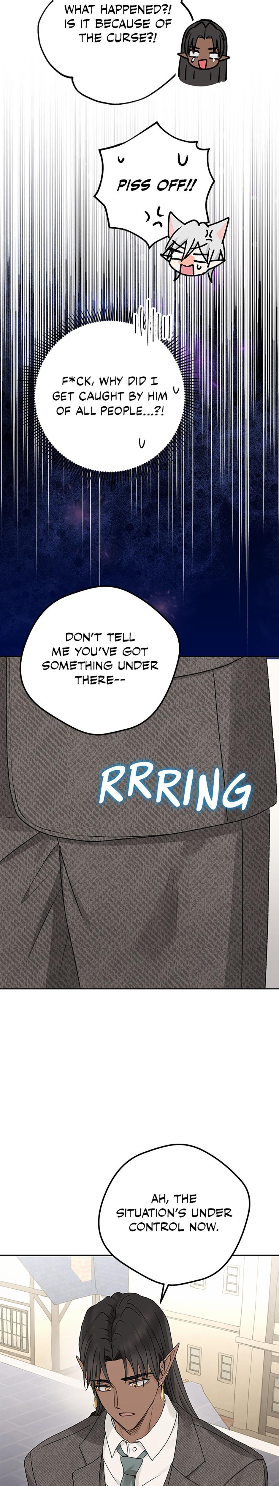 The Mating Of Elves chapter 54 page 27