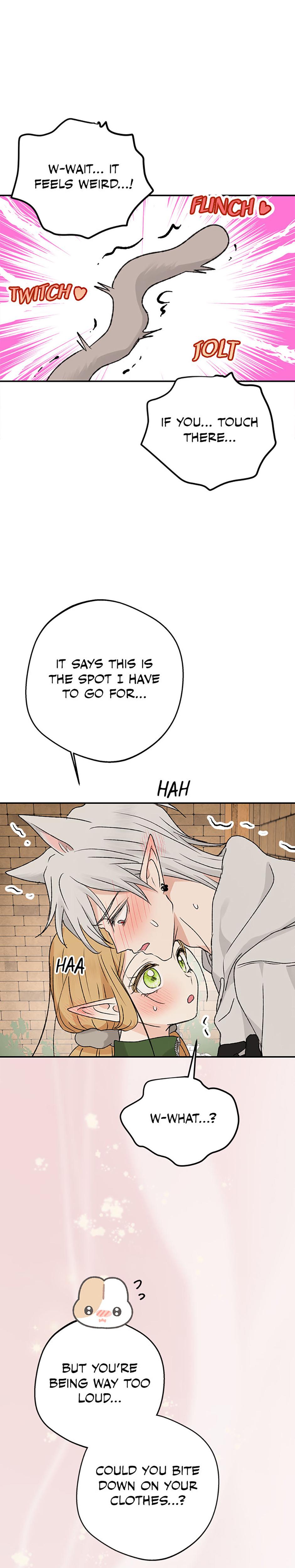 The Mating Of Elves chapter 55 page 28