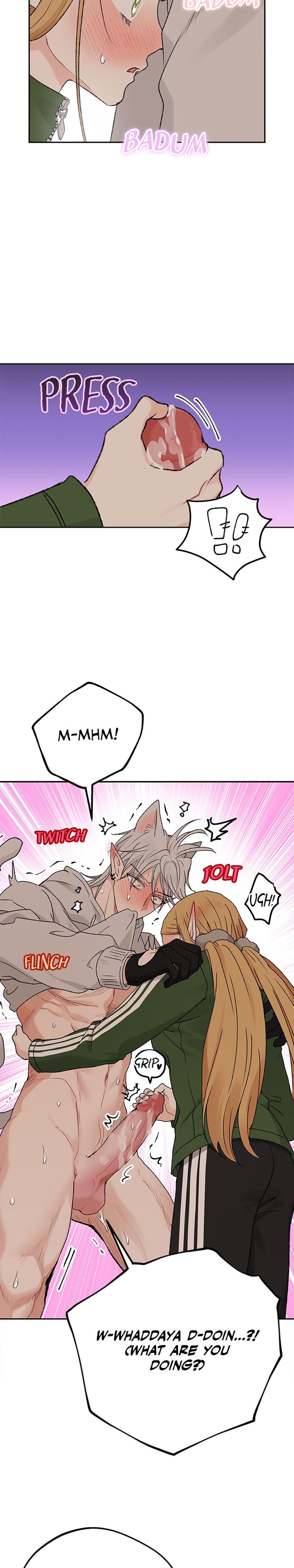 The Mating Of Elves chapter 56 page 15