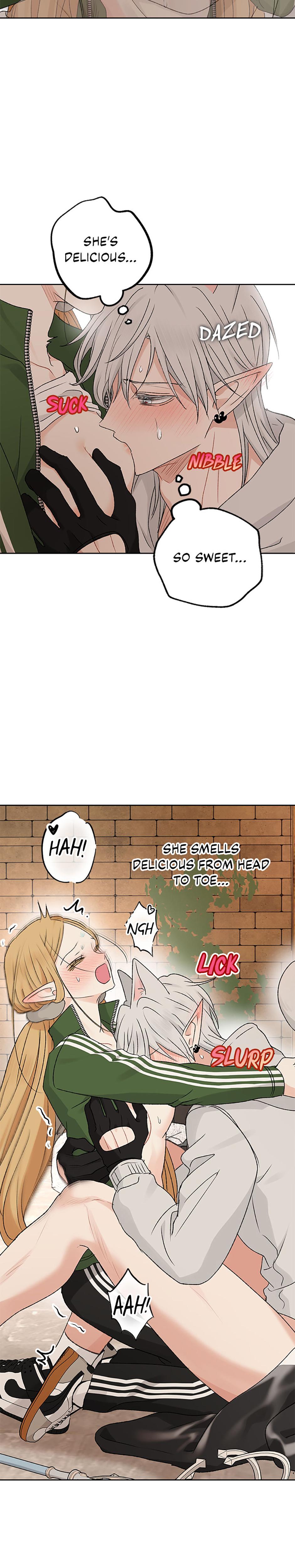 The Mating Of Elves chapter 57 page 13