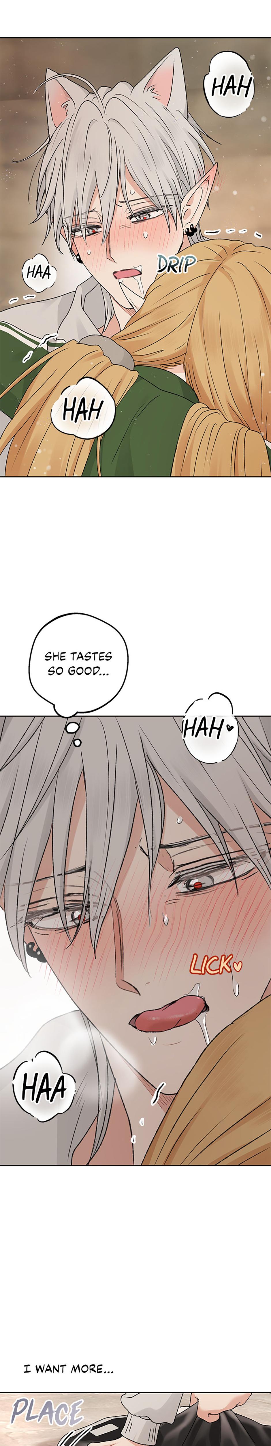 The Mating Of Elves chapter 57 page 27