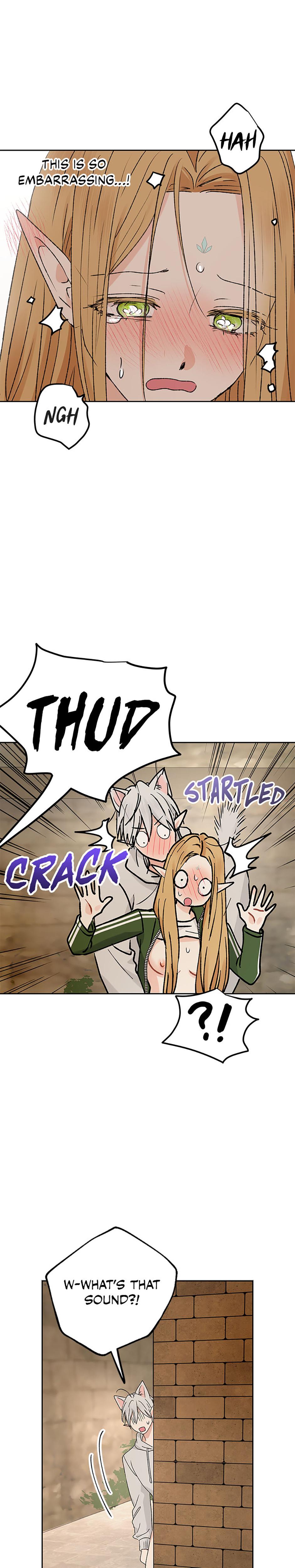 The Mating Of Elves chapter 58 page 22